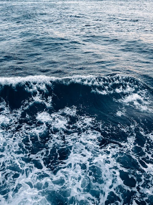 Foto profissional grátis de água áspera, espaço do texto, mar
