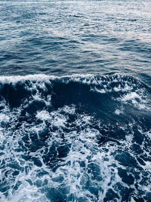 Captivating view of ocean waves crashing, showcasing dynamic rough water and foamy surf.