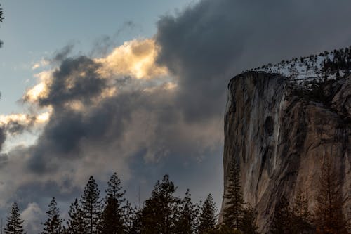 Photos gratuites de arbres, ciel spectaculaire, couvert de neige