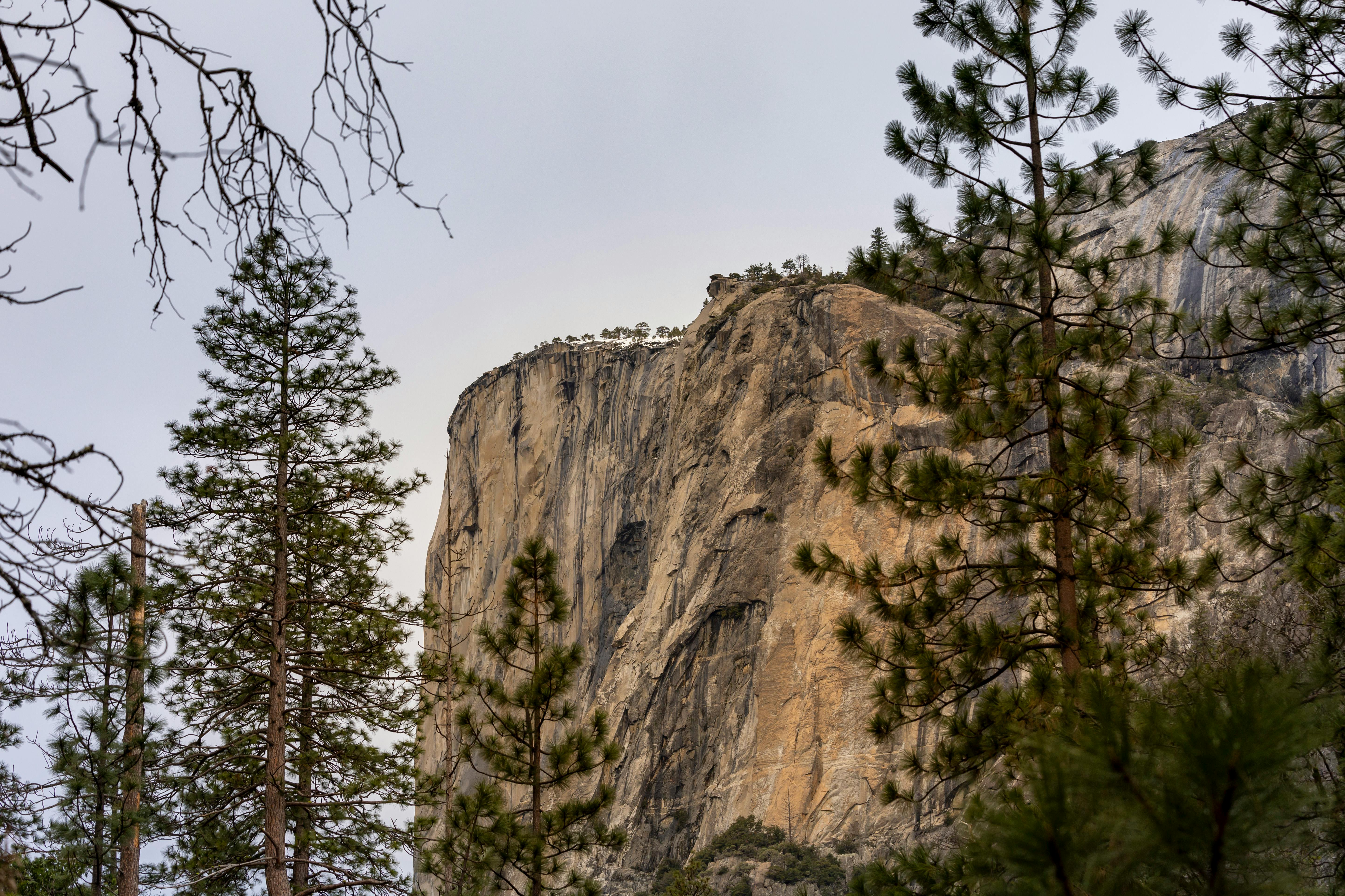 yosemite national park