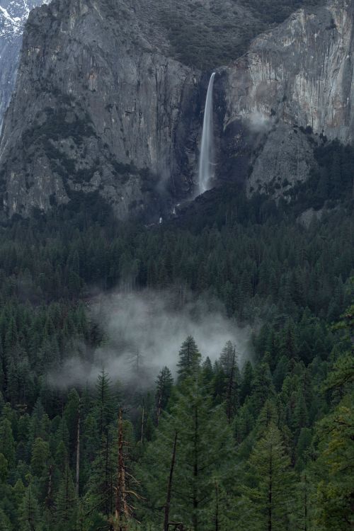 Free Breathtaking view of Yosemite waterfall surrounded by dense coniferous forest and mist. Stock Photo
