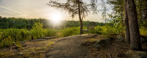 Free stock photo of bench, park, relaxing