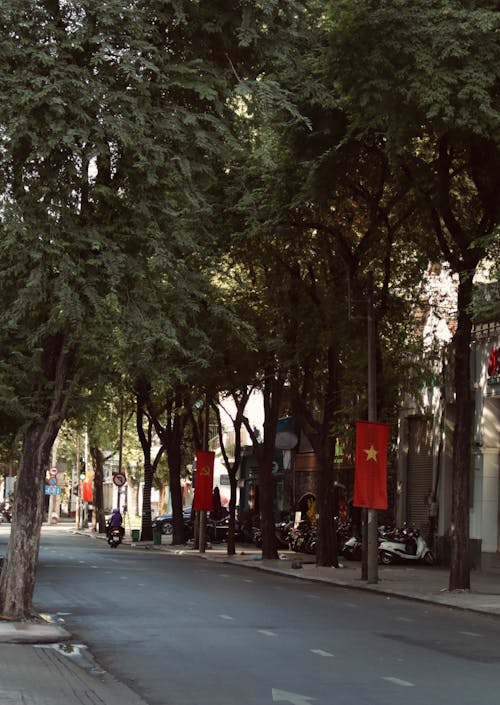 A street with trees and a sign that says "vietnam"