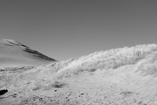 风景秀丽的沙漠沙丘与清澈的蓝天，构成了一幅宁静的自然景观