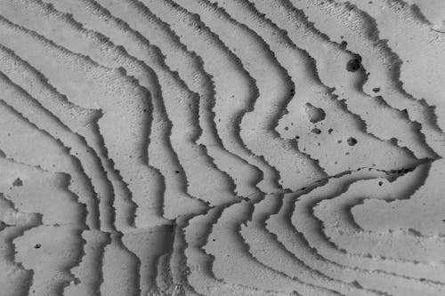 Cuttlefish bone macro shot