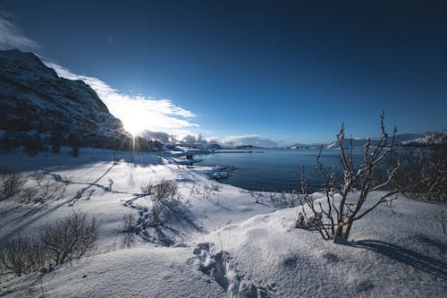 Ingyenes stockfotó domb, hideg, hó témában