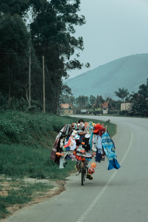 Foto stok gratis aspal, barang, berkuda