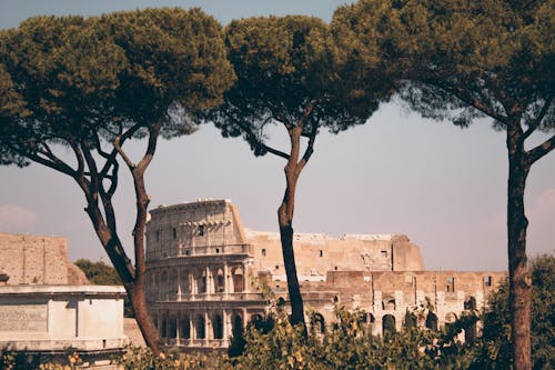 Ingyenes stockfotó Colosseum, épület, fák témában