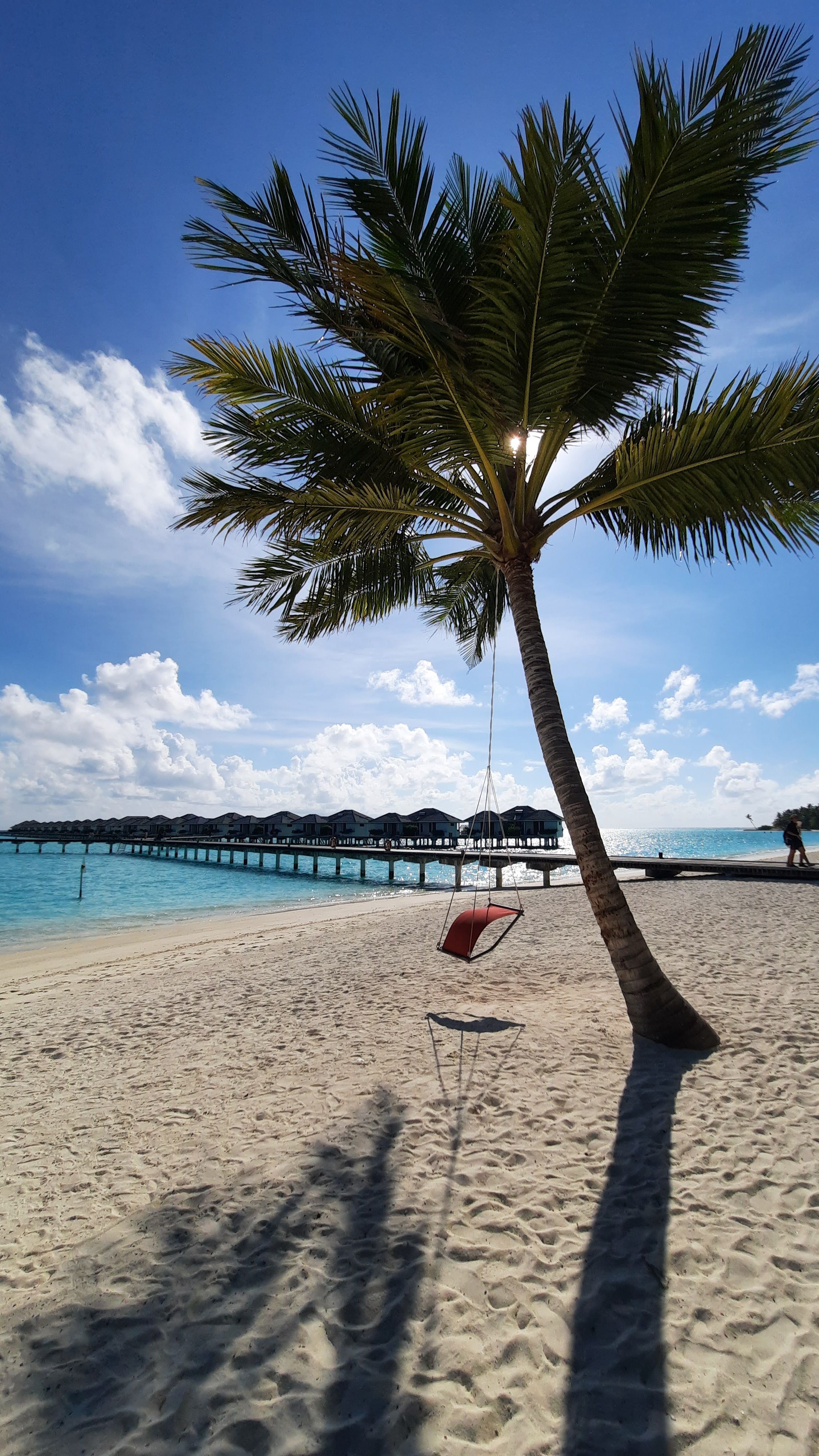 Palm Tree with a Swing on the Beach by the Pier Leading to Houses on ...