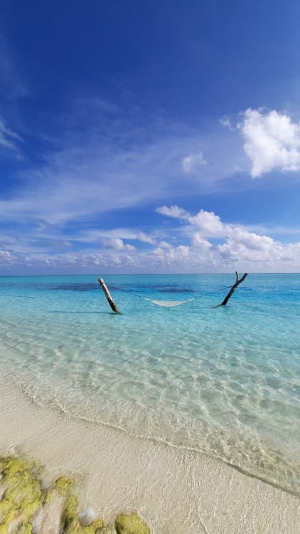 An Empty Hammock on a Shore 