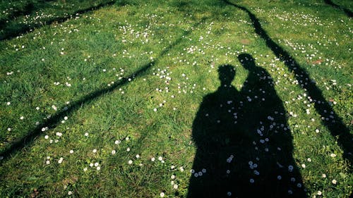 Бесплатное стоковое фото с çiçekler, çimen, люди