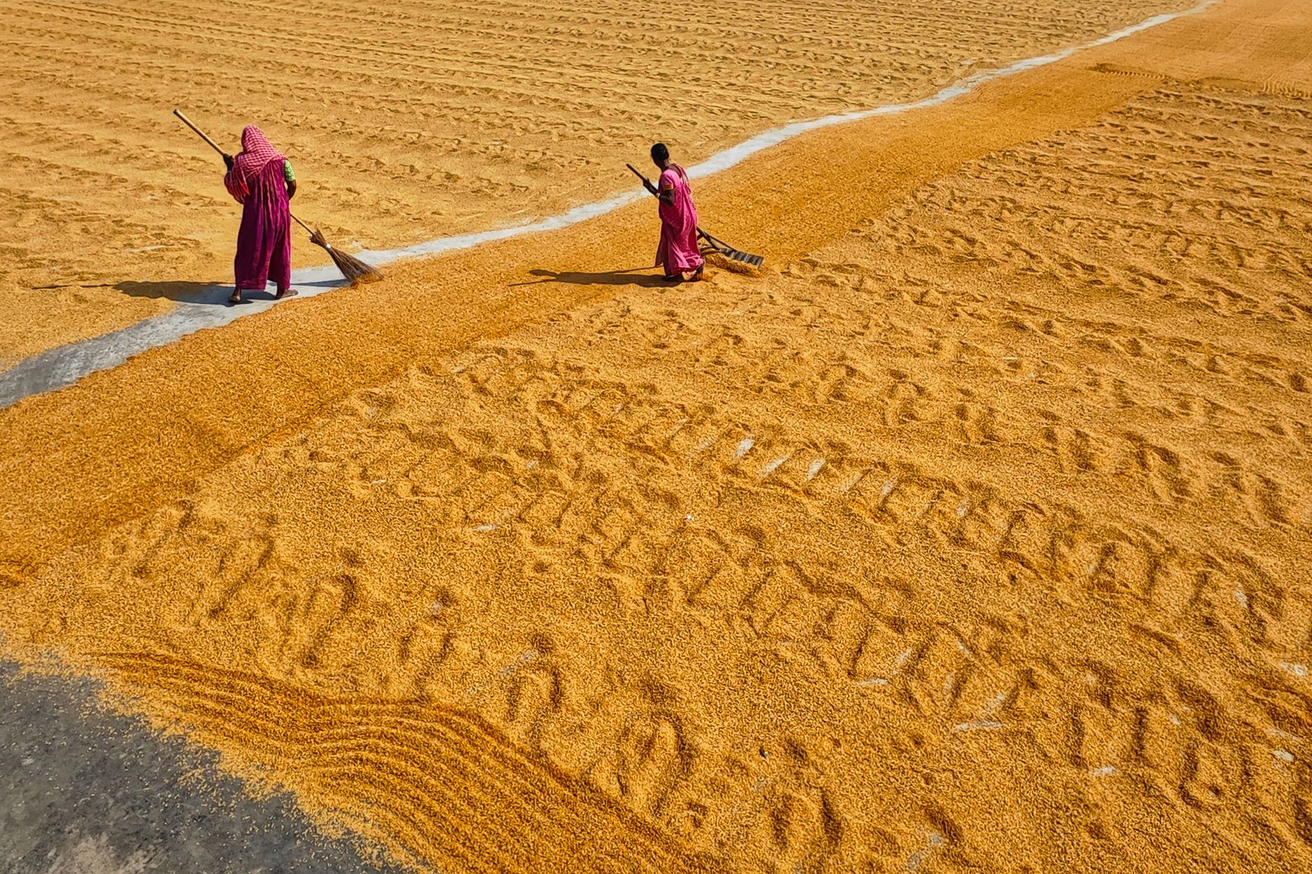 Centre Assures Indian Farmers Are "Fully Protected" Under India-US Trade Deal