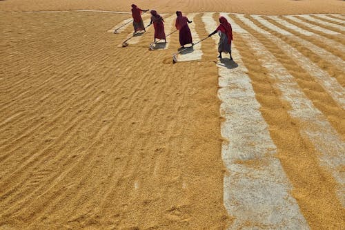 Women in rural life 19.