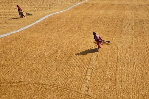 Men Working on a Field 