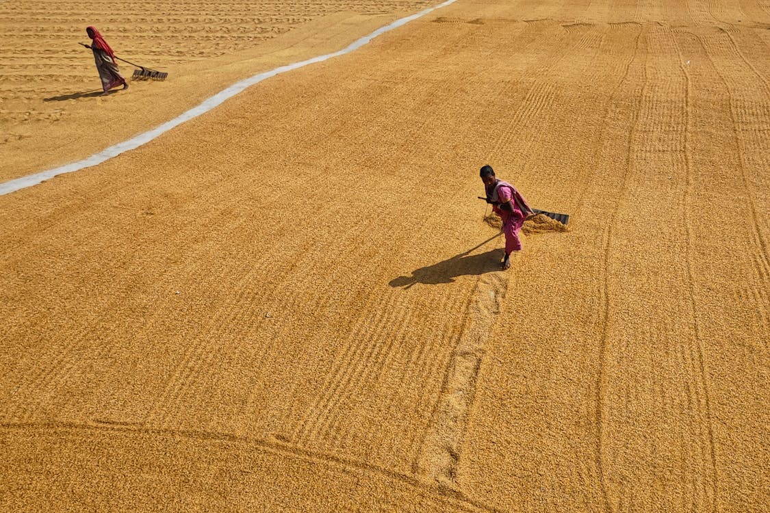 Základová fotografie zdarma na téma africké lidi, Afrika, hřiště