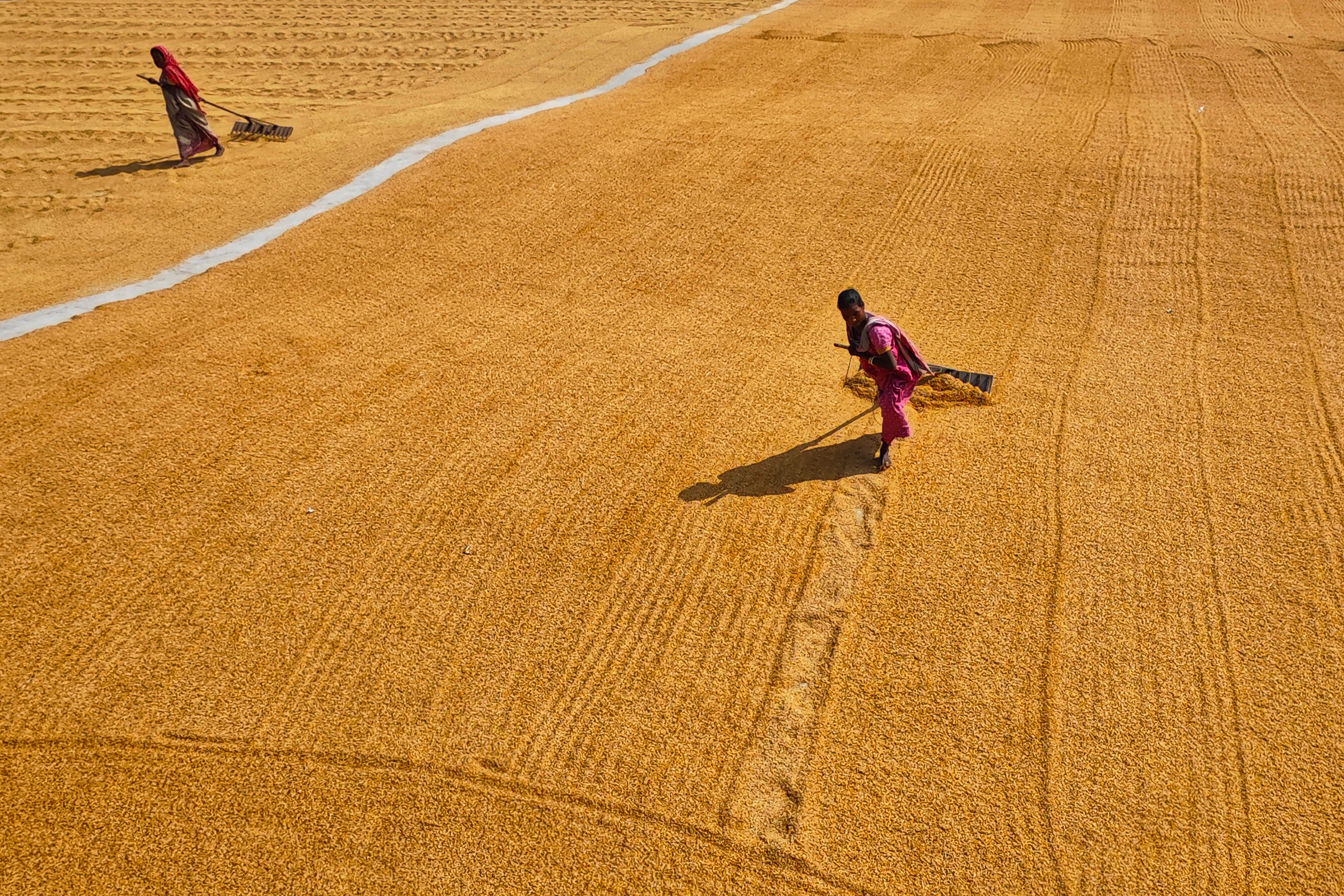 Men Working on a Field · Free Stock Photo