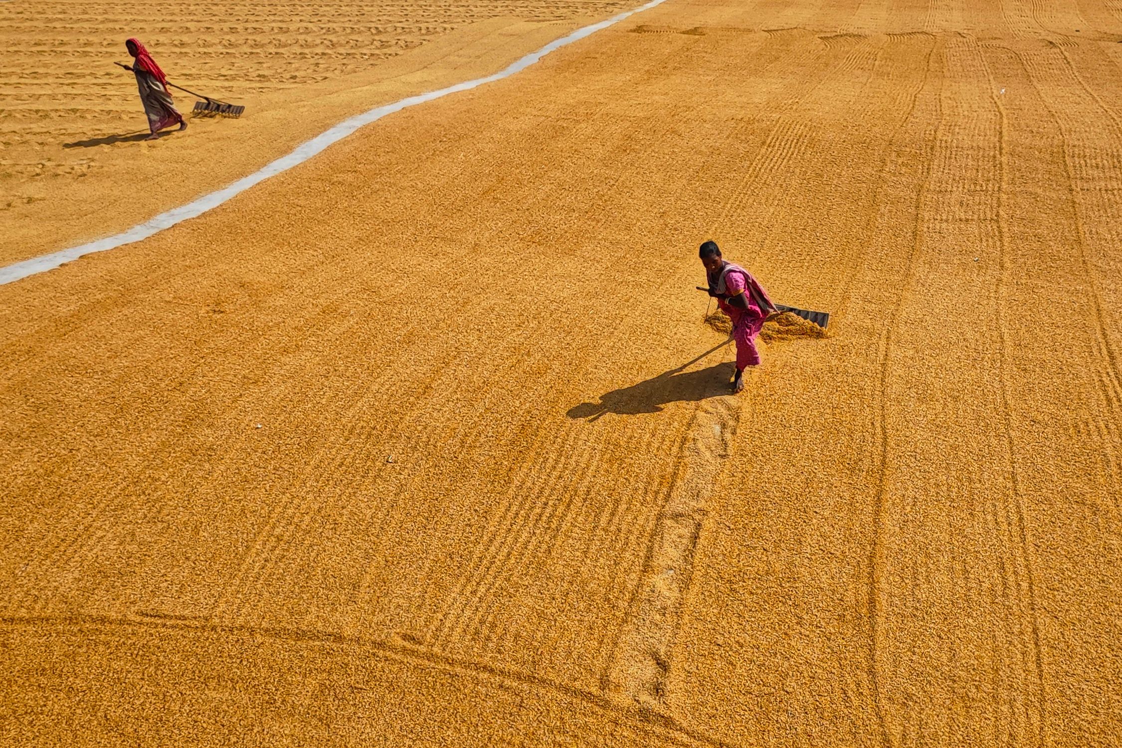 Men Working on a Field · Free Stock Photo