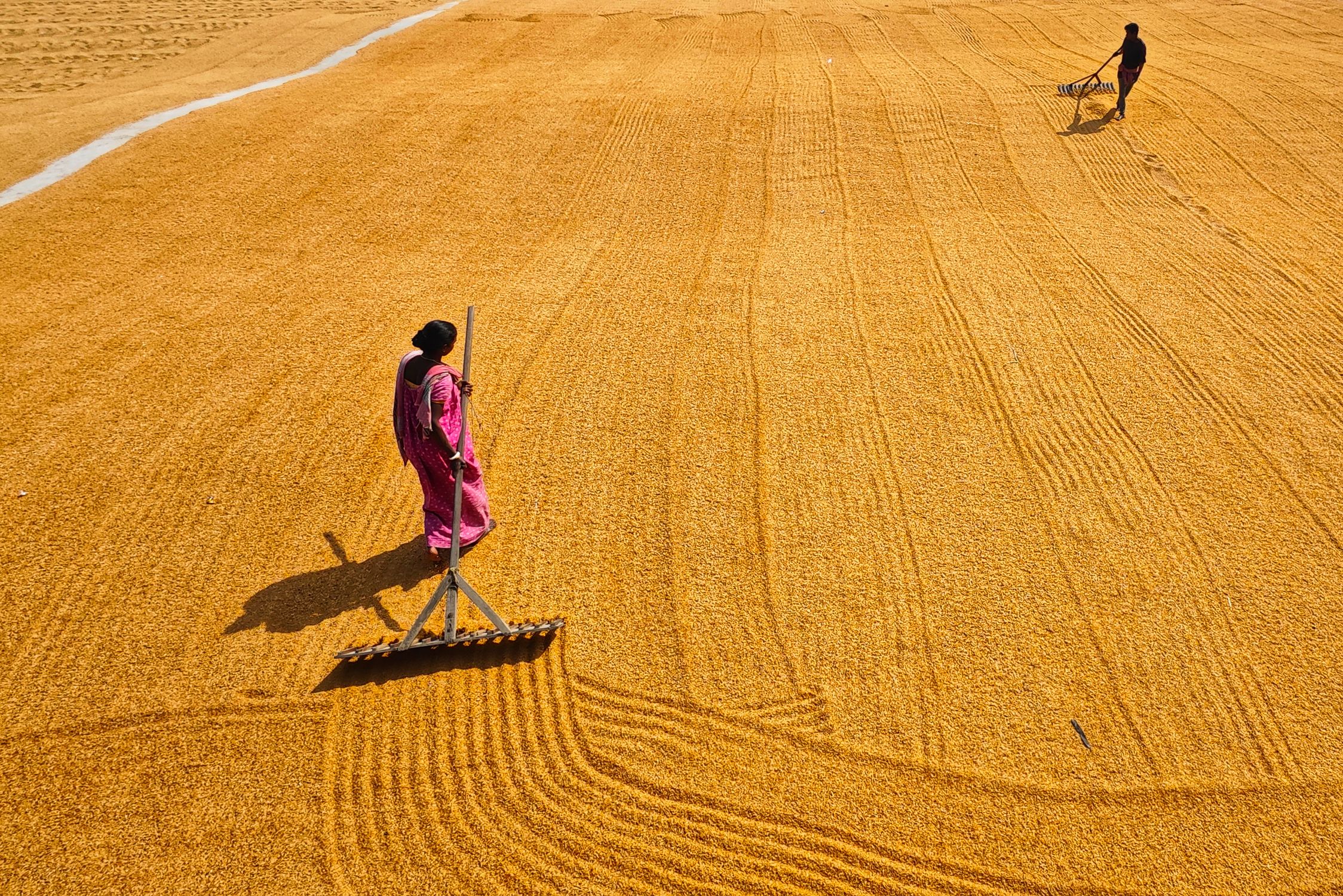 People Working on a Field · Free Stock Photo