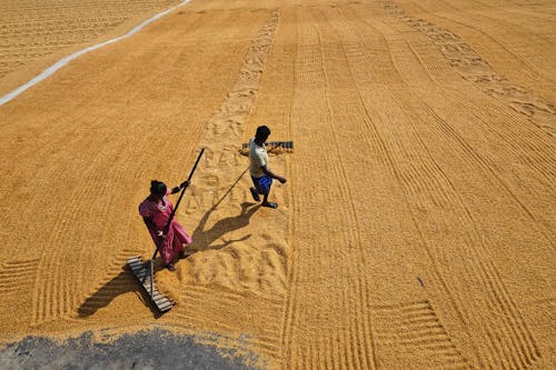 Afrika, afrika insanlar, alan içeren Ücretsiz stok fotoğraf