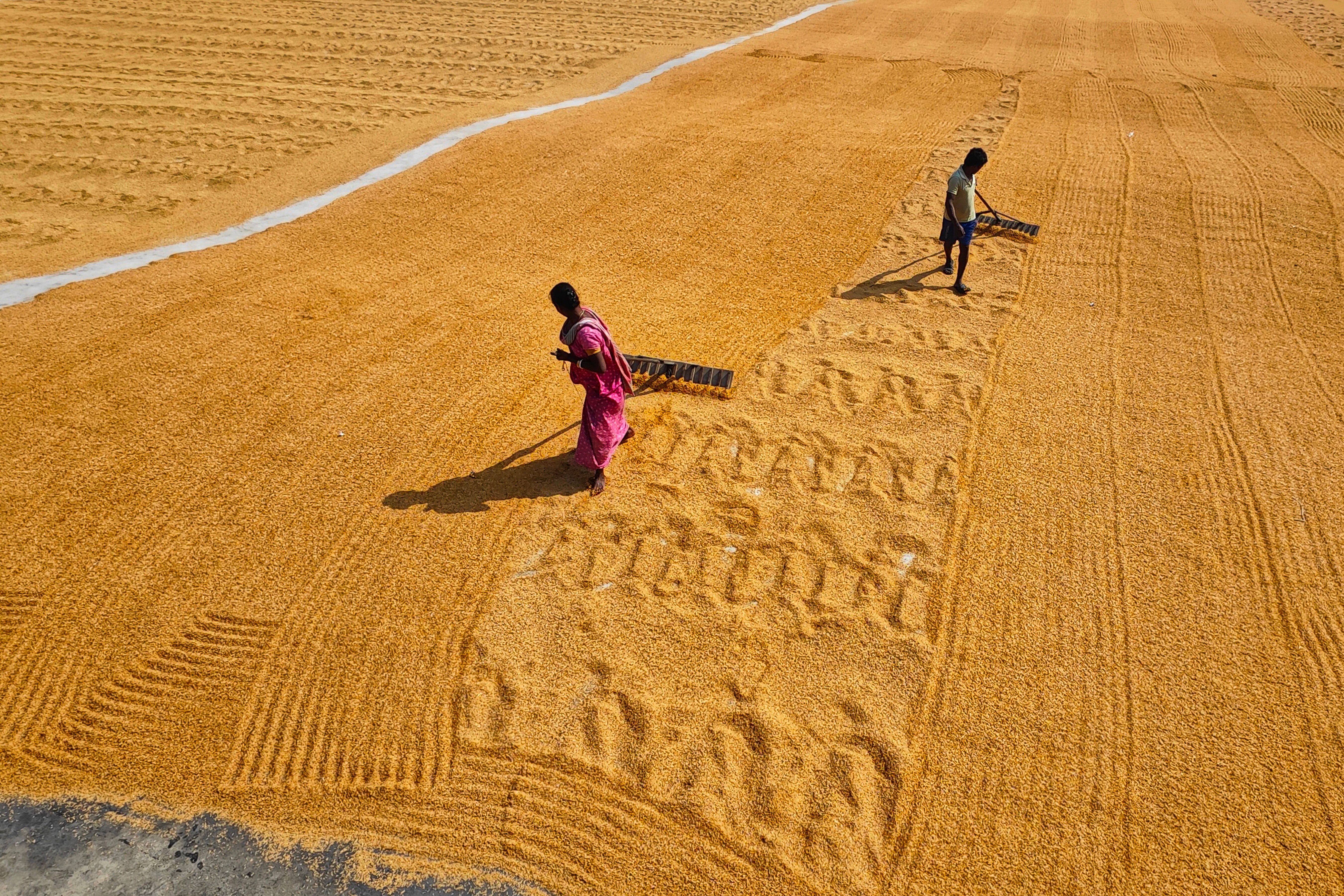 People Working on a Field · Free Stock Photo