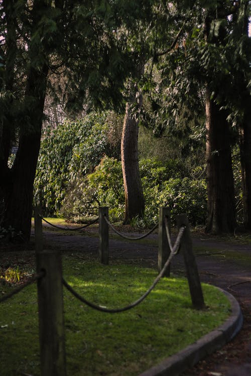 A path with a fence and trees in the background