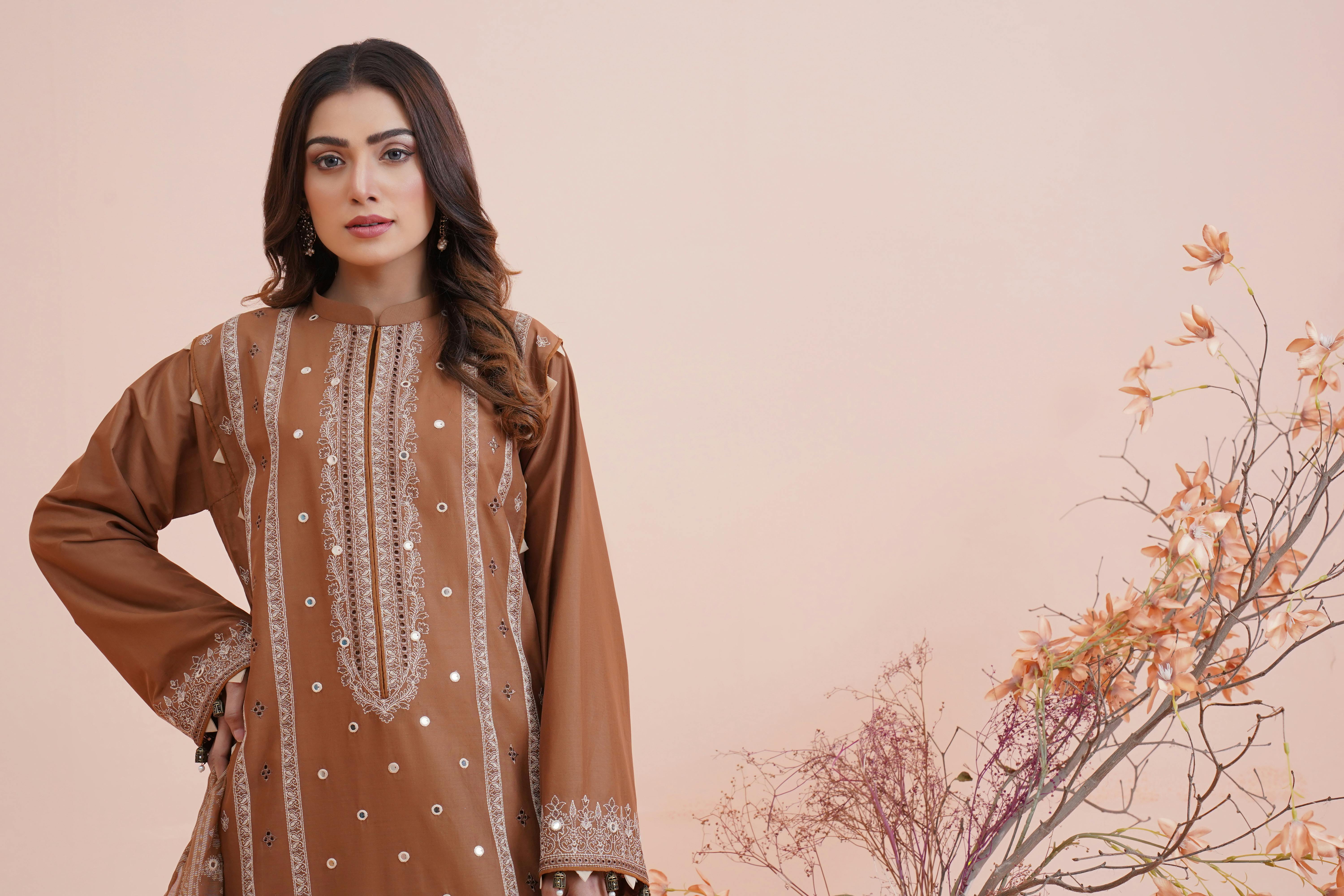 Free A woman poses in a beautiful traditional Pakistani gown with floral accents. Stock Photo