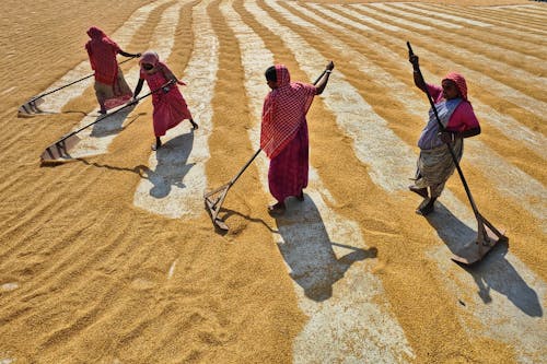 Foto profissional grátis de África, agricultura, areia