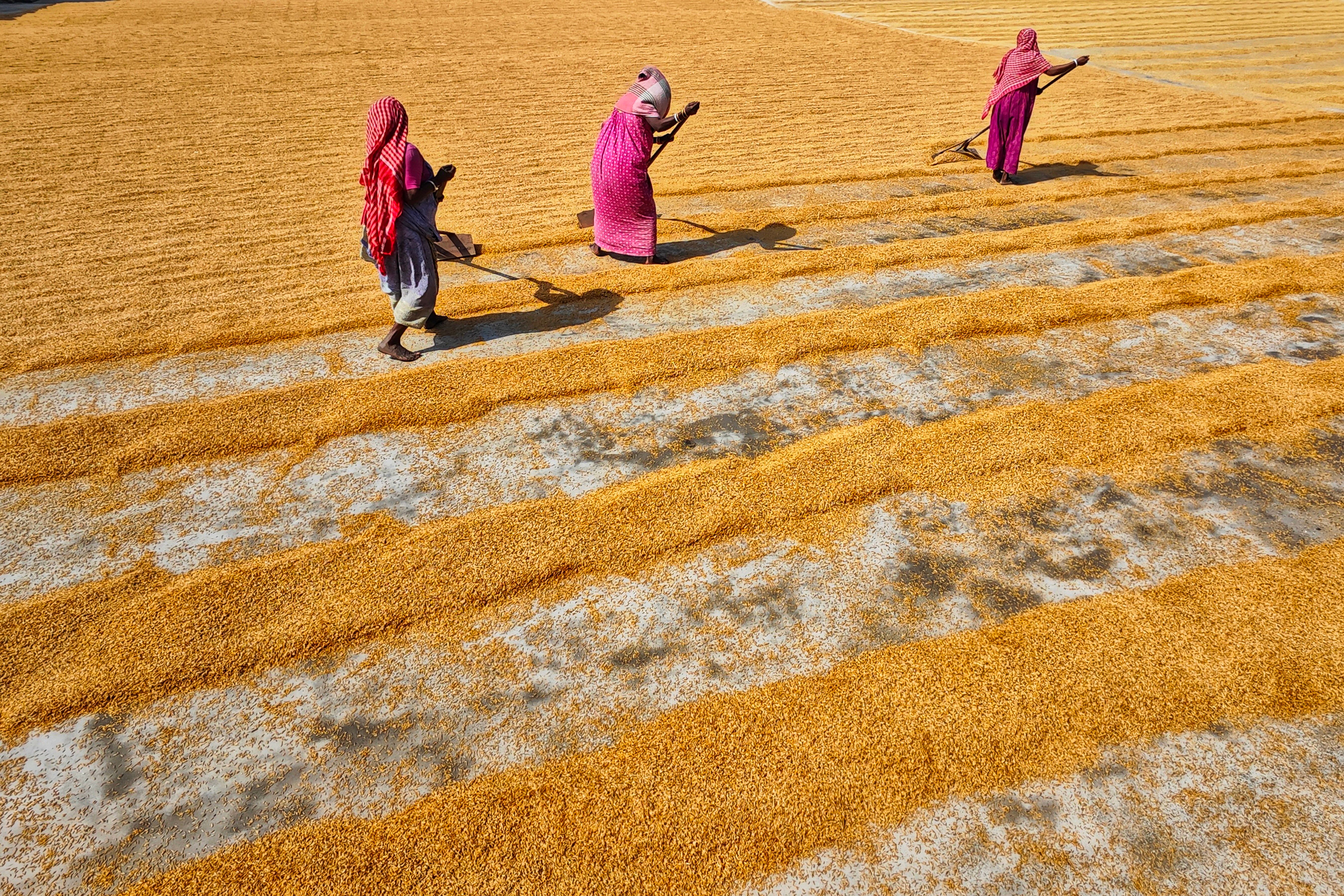 Featured image for: Economic Impact of India Women vs South Africa Women Cricket: 7 Key Insights