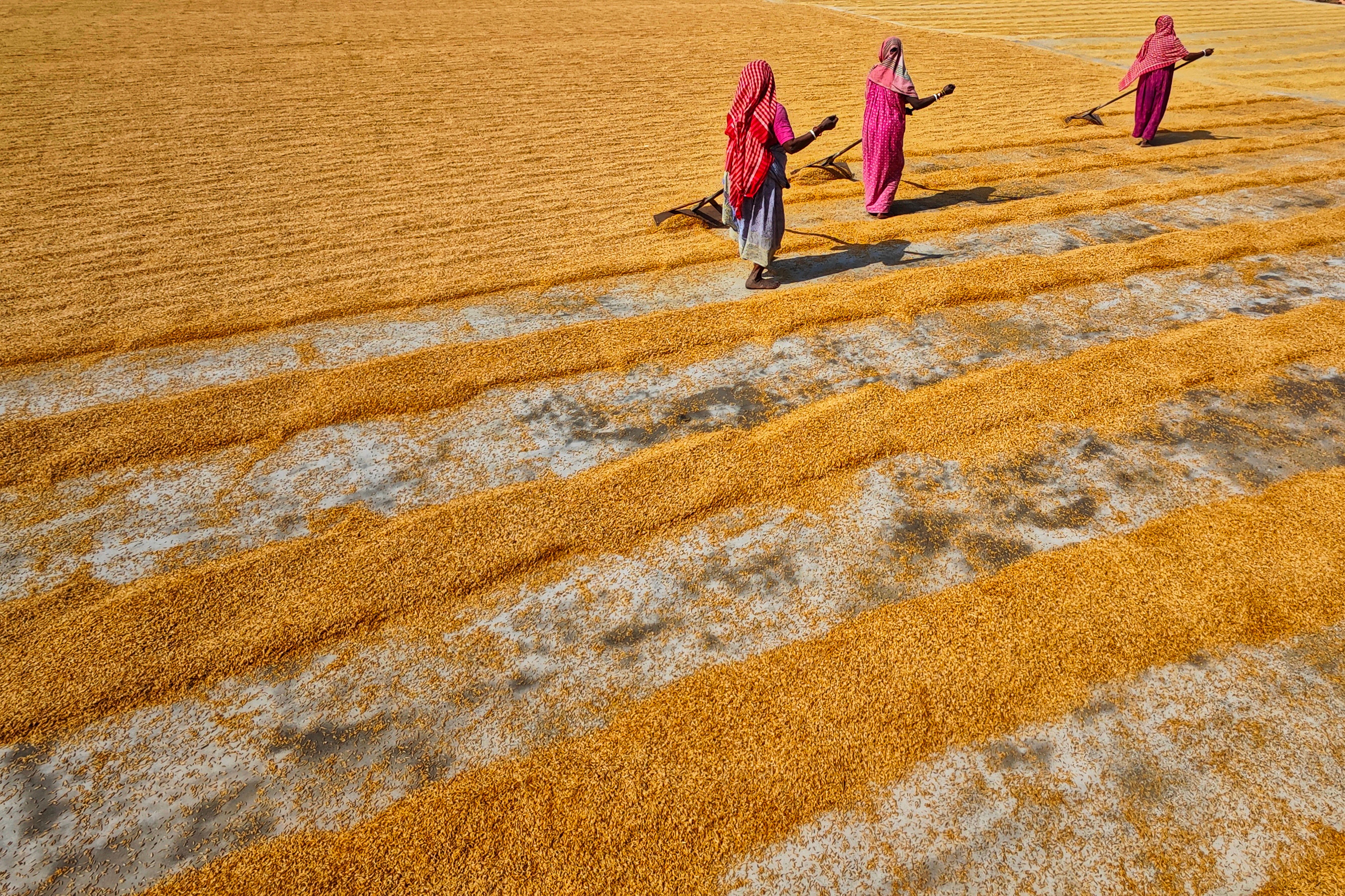 Indian courts to decide on Bishnoi extradition—India’s Canada envoy; hails ‘Op Hard Ball’ as validation news update image