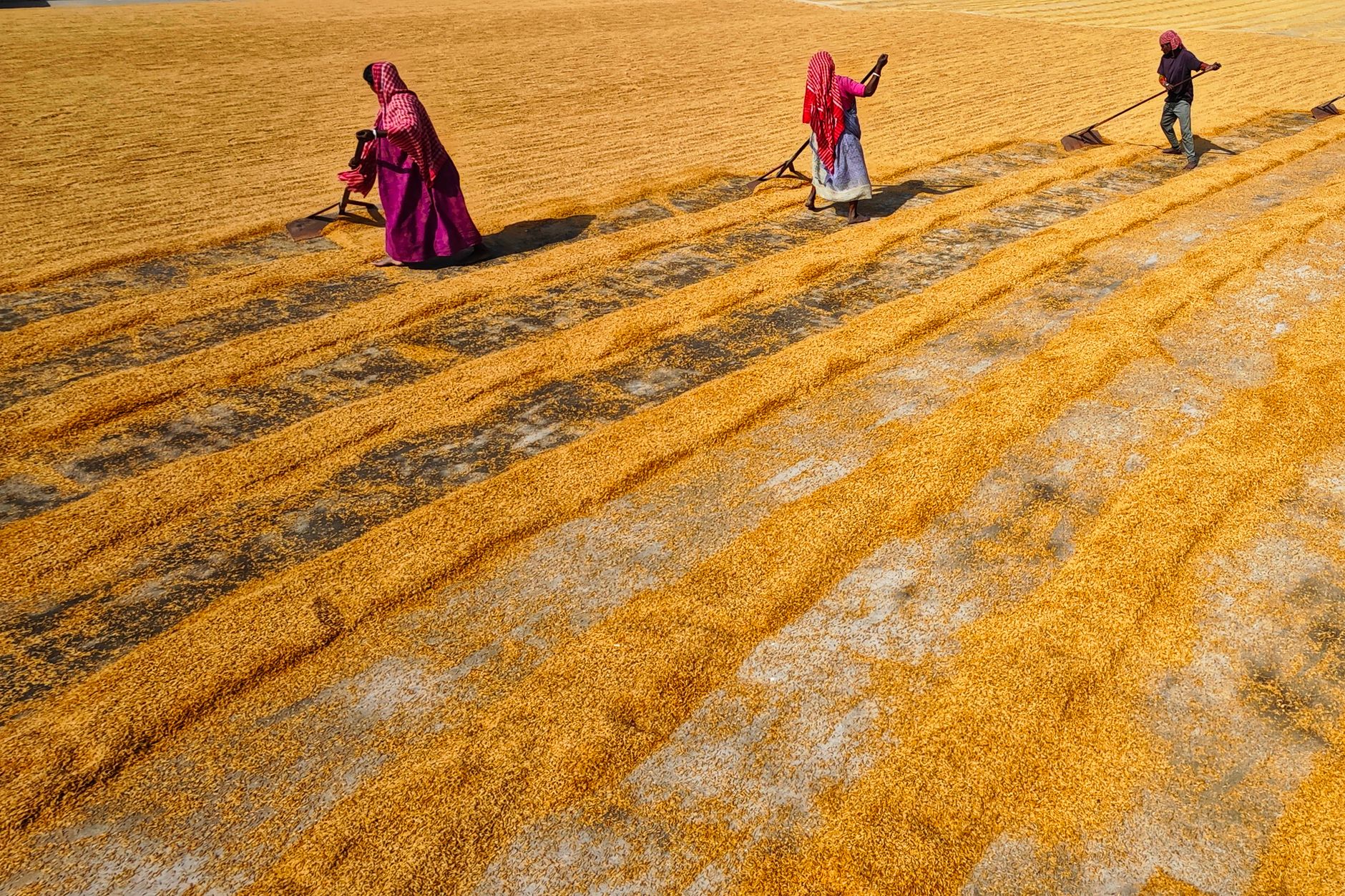 Agriculture Remains Soul of Indian Economy: CM Shivraj Singh