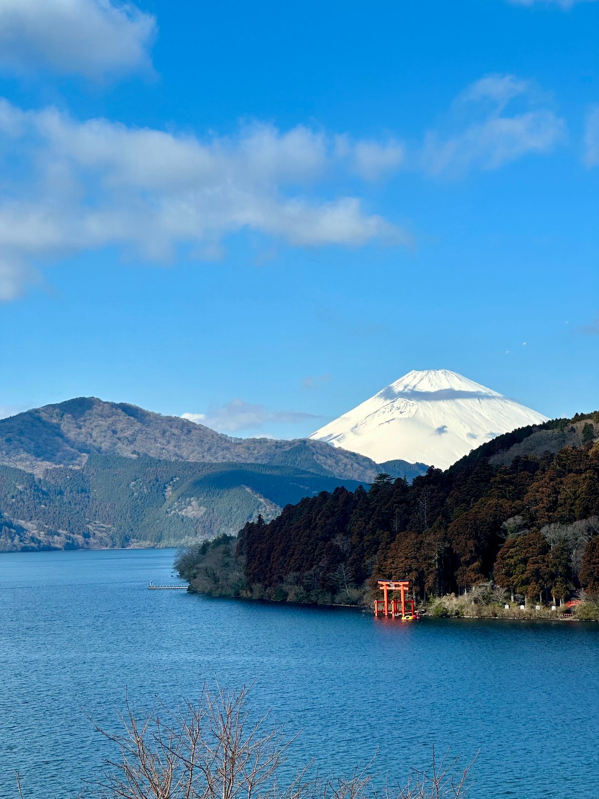 Traditional Japanese ryokan room with tatami mats and view of mountain forest in Hakone
