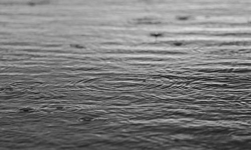 Free Monochrome image capturing raindrops forming ripples on a water surface, symbolizing tranquility. Stock Photo