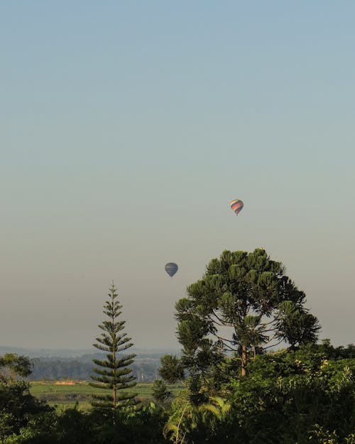 Balões 