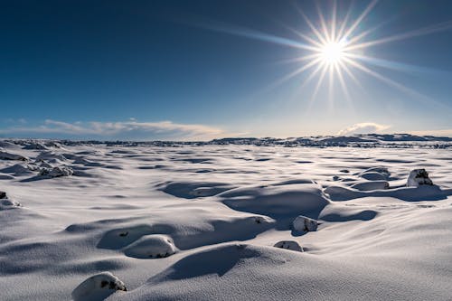 ICEE, 光, 冬季 的 免费素材图片
