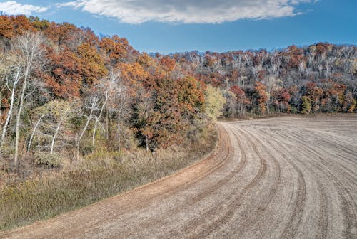 A dirt road with trees in the background