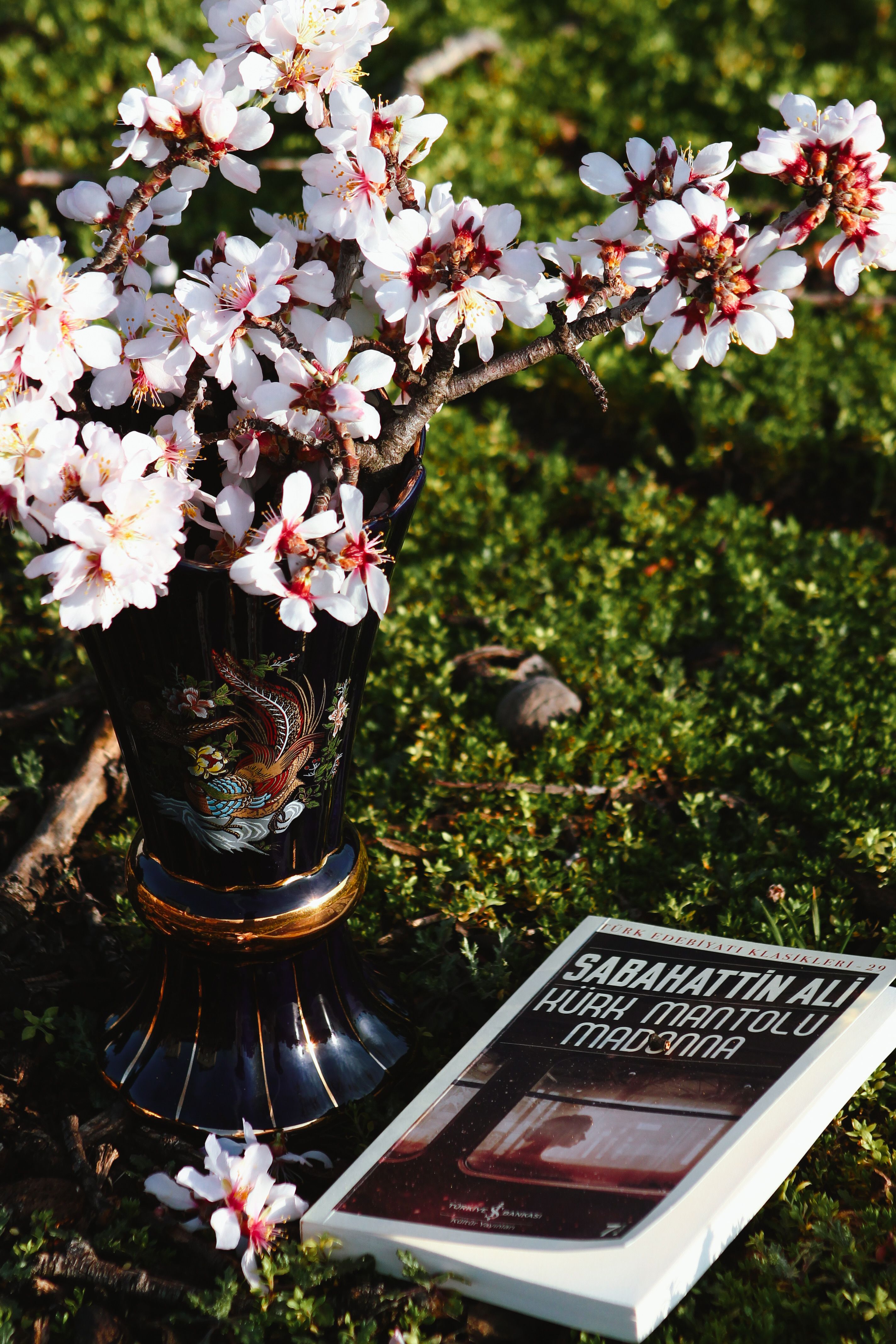 Elegant cherry blossoms in a vase and book on lush green grass.