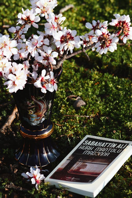 A book and flowers on the grass