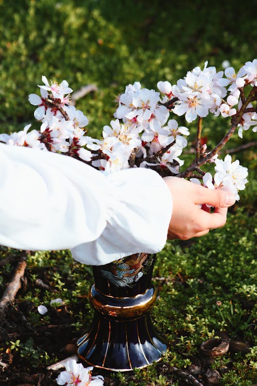 Безкоштовне стокове фото на тему «ваза, вертикальні постріл, весна»