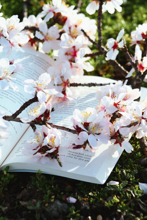 A book with flowers on it and a book on the ground