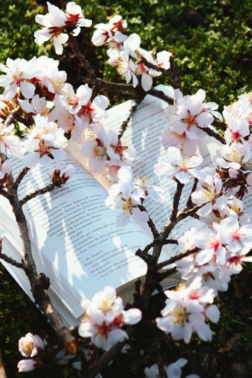 A book and flowers on a grassy field