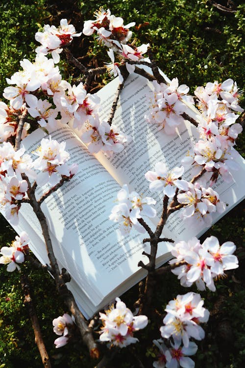 A book with flowers on it and a branch