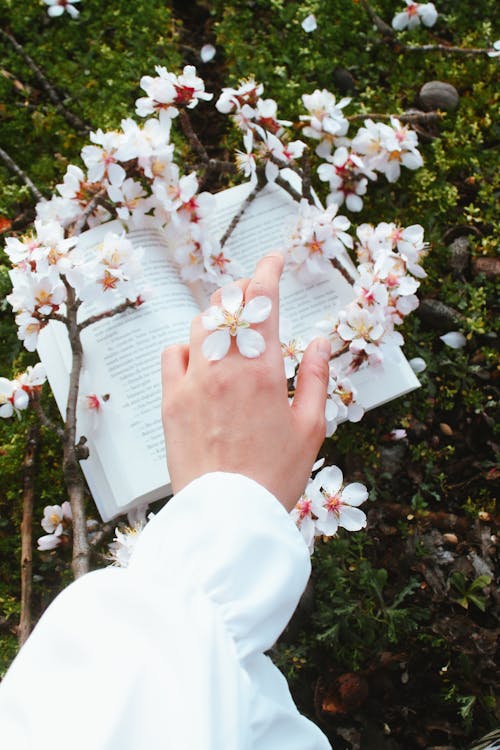 Woman Hand and Flowers over Book