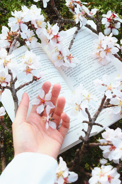 A person holding an open book with flowers in the background