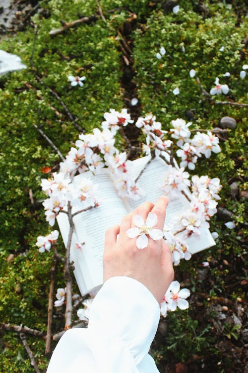 A person holding a book with flowers on it