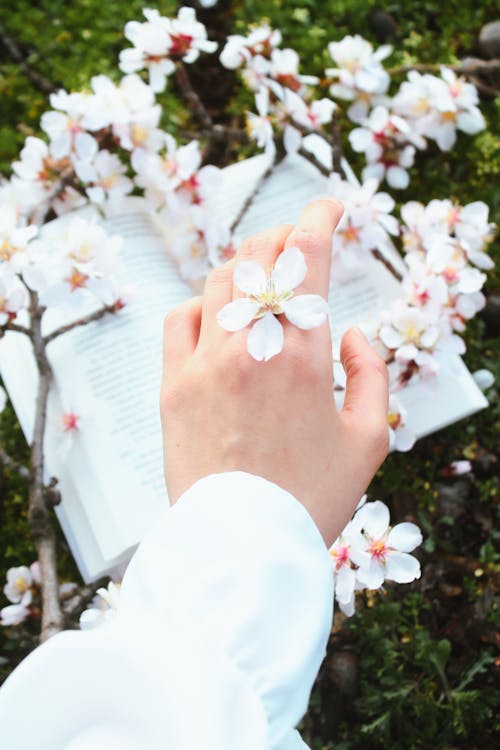 A person holding a book and flowers in their hand