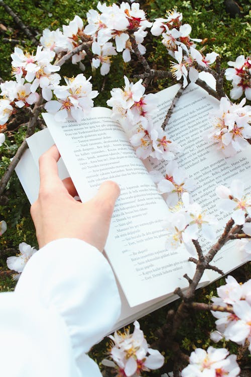 A person holding an open book with flowers in the background