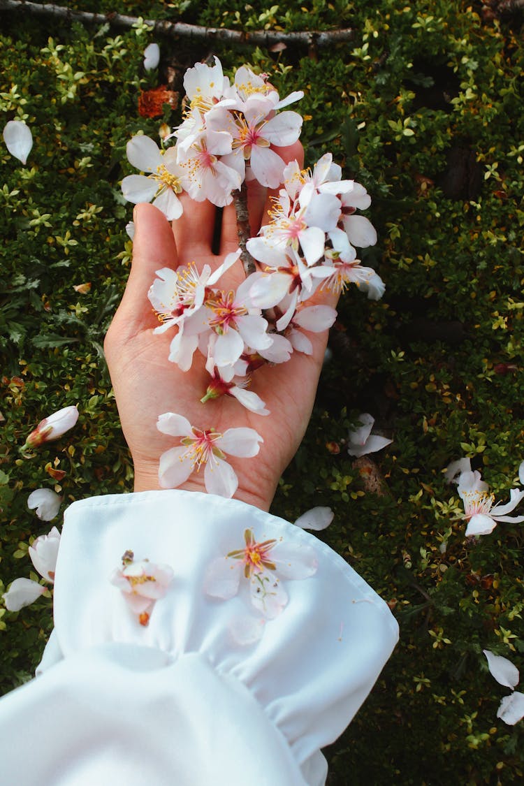 White Flowers On Woman Hand