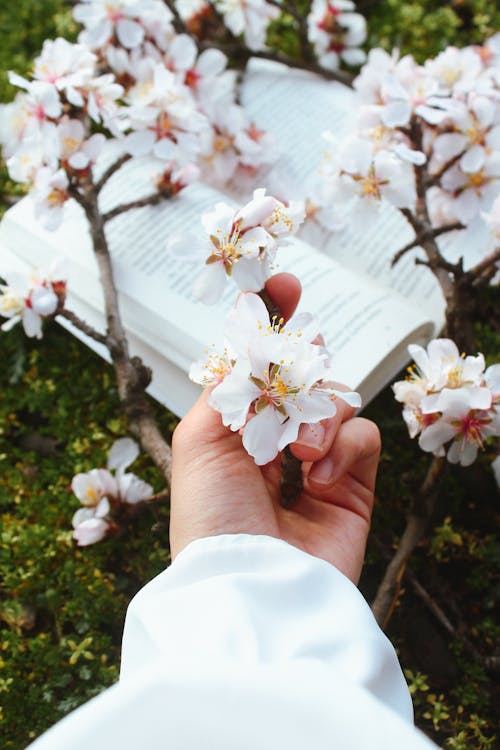 A person holding an open book and flowers