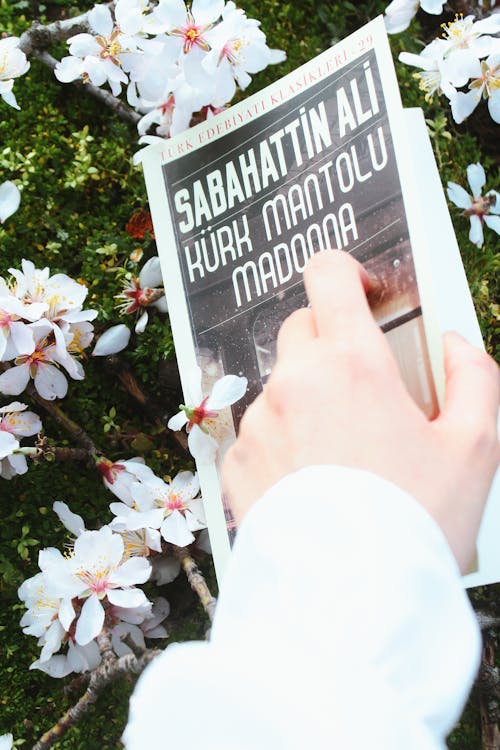A person holding a book with the words al sahaba in front of a tree