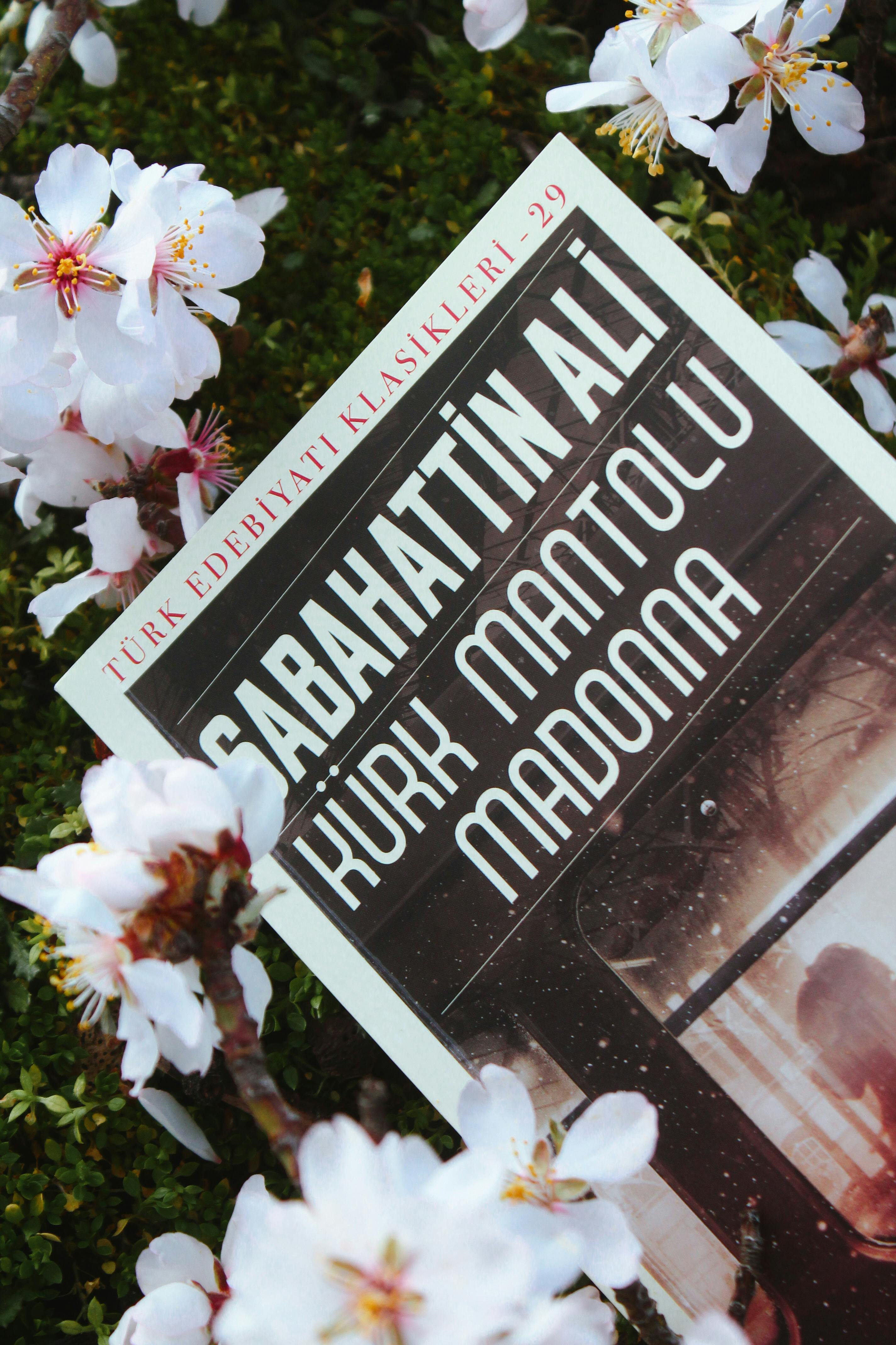 cherry blossoms around book in turkish